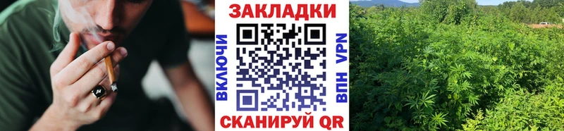 Купить наркотики сайты Чаплыгин МЕГА ONION  COCAIN  ГАШИШ  Мефедрон  Бошки Шишки  Alpha PVP 