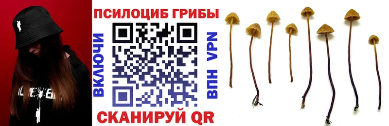МЕГА онион  Чаплыгин  Галлюциногенные грибы мицелий 